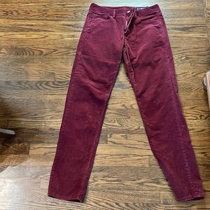 Vineyard Vines Wine Corduroy Mens Pant Sz 33 x 34